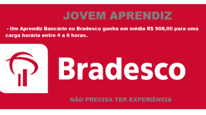 Jovem Aprendiz Bradesco – Processo Seletivo Turma 2019, Veja Como Fazer ...